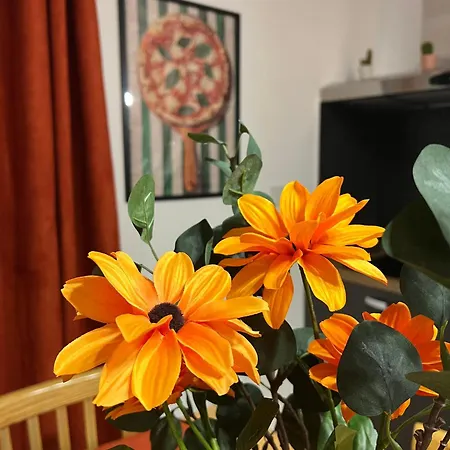 Appartement Noluma Gemelli-luminoso Loft A Pochi Passi Dal Policlinico Gemelli *